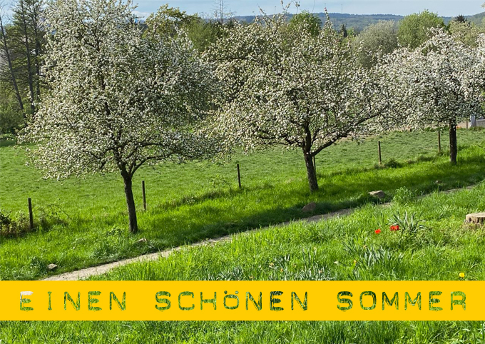 Sommer24